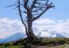 Biken im Zillertal